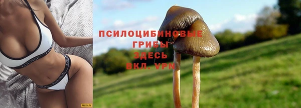 экстази Балабаново