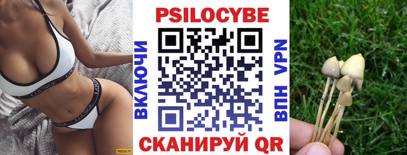 Псилоцибиновые грибы GOLDEN TEACHER  Лодейное Поле 